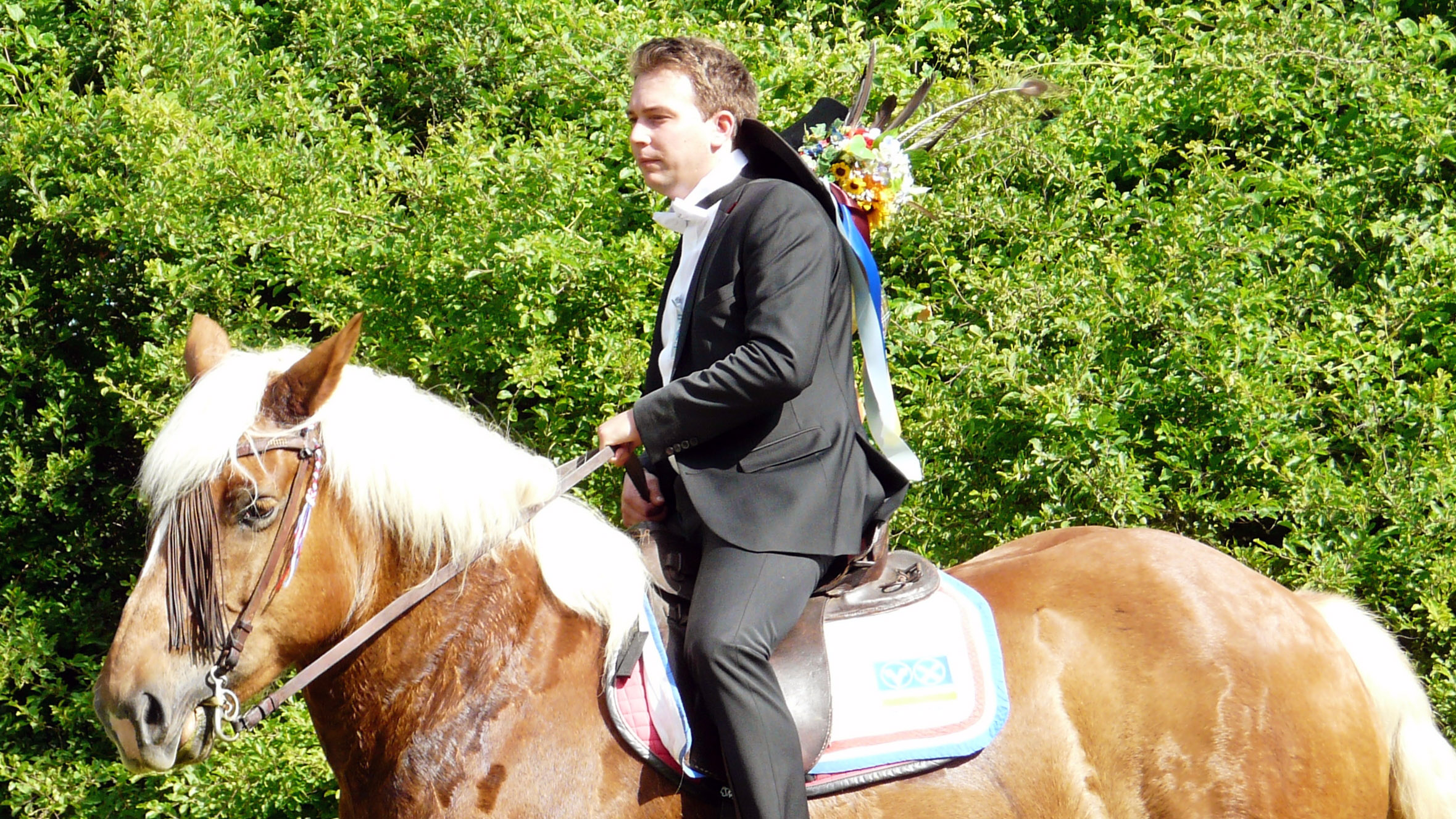 Pfingstreitert David Jakoby ist nun fester Bestandteil beim HSV.