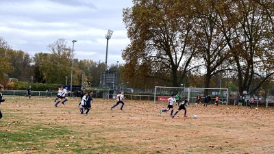 D-Jugend TuS Koblenz - HSV Neuwied