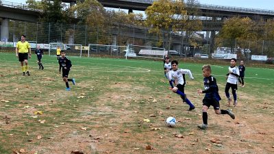 D-Jugend TuS Koblenz - HSV Neuwied