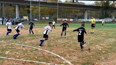 D-Jugend TuS Koblenz - HSV Neuwied
